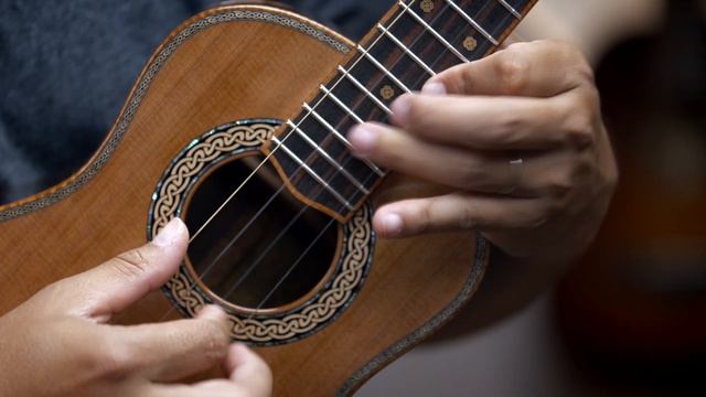 Petros Custom Baritone Cedar Ebony #134 смотреть онлайн