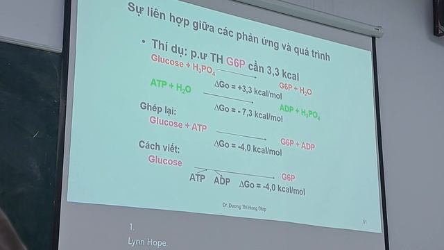 Module nội tiết và chuyển hóa :( Hóa sinh )Chuyển hóa protid, glucid, lipid-điều hòa chuyển hóa + R смотреть онлайн