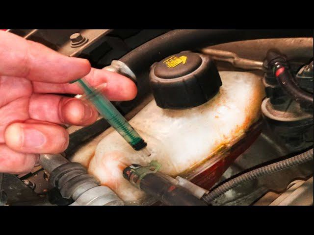 ОБ ЭТОМ МНОГИЕ ДАЖЕ НЕ ДОГАДЫВАЮТСЯ. ПОЧЕМУ ТОСОЛ МЕНЯЕТ ЦВЕТ смотреть онлайн