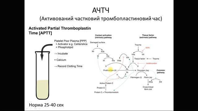 Тестування системи гемостазу смотреть онлайн