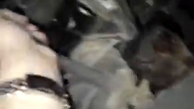 ford sierra 1.6 thessaloniki смотреть онлайн