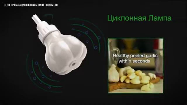 WIZNMIX PRESENTATION RUSSIA смотреть онлайн