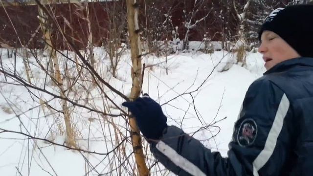 Тест гибкой пилы смотреть онлайн