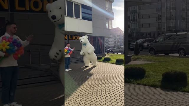 Крипово пранканули своего друга на День Рождения с медведем и чемоданом в Минске. смотреть онлайн