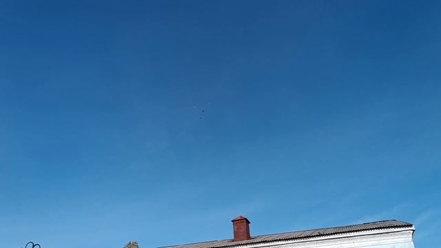 Очередной падьем голубей с фиксацией. смотреть онлайн