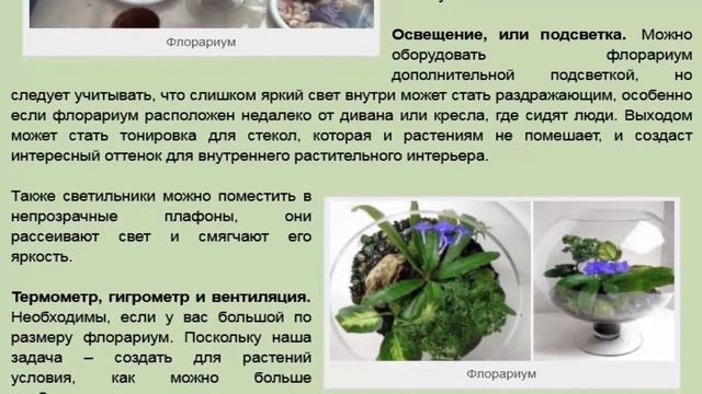 Флорариум мини-сад за стеклом смотреть онлайн