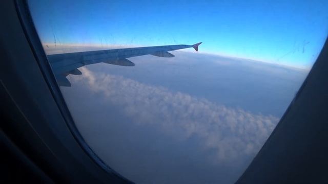 Перелет в Хабаровск из Красноярска. а/к "Аврора" Airbus A319 место 21F. Май 2021 смотреть онлайн