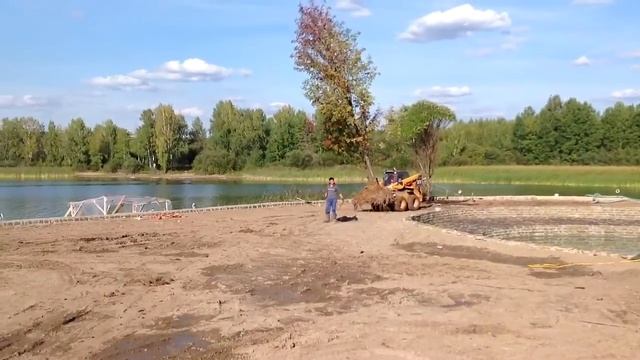 Пересадка крупномерных деревьев смотреть онлайн