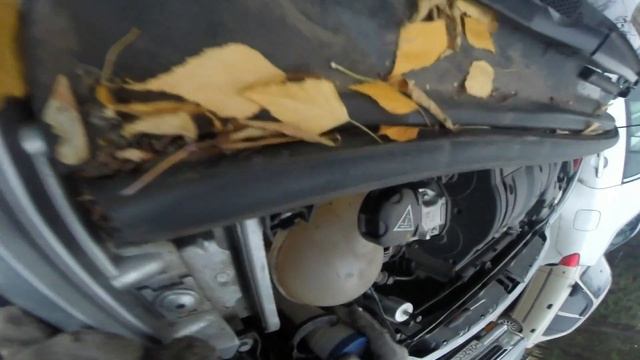 Технотенденции