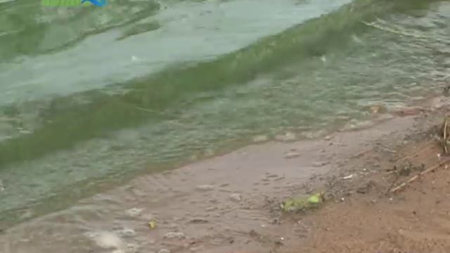 Чистая ли вода в вашем колодце и кто загрязняет Волгу, расскажут на Иваньковской НИС