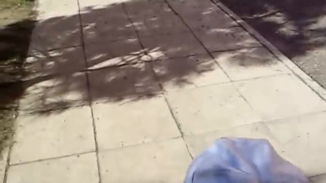 УЖАС!!!!! ЗЛОЙ РОТВЕЙЛЕР ПОРВАЛ ДЕТЕЙ...... в забеге)) смотреть онлайн