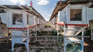 Клетки для кроликов своими руками: размеры и чертежи