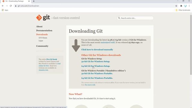 Dev 006 Install Git on Window смотреть онлайн