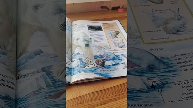 энциклопедия disney открой мир вокруг себя смотреть онлайн