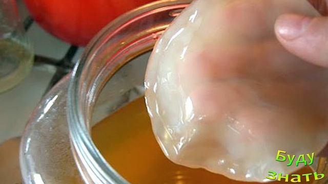 Для выравнивания ДАВЛЕНИЯ и от кучи Болезней - ЧАЙНЫЙ ГРИБ! смотреть онлайн