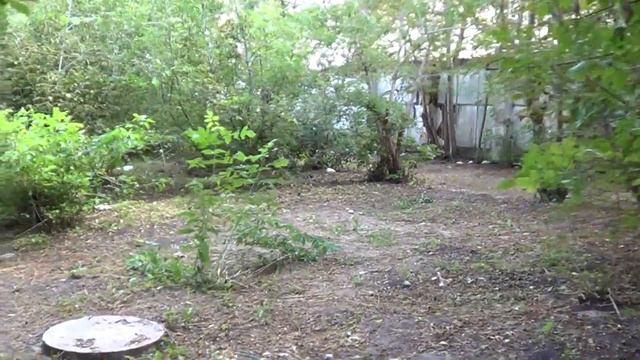 История! Заброшенный дворик в центре Бреста! Street! Brest! смотреть онлайн