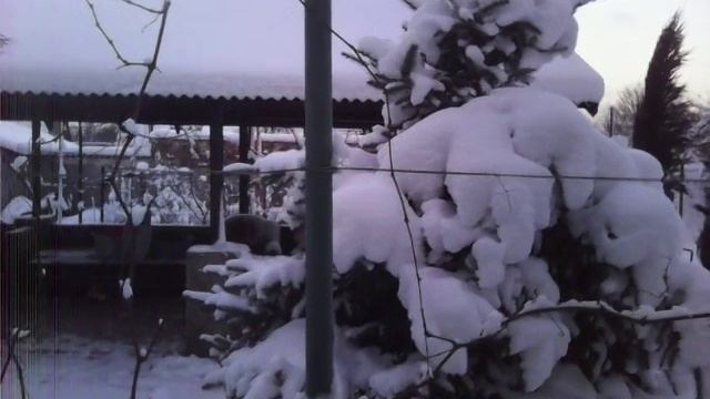 Зимняя. Елка смотреть онлайн