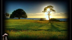 НАЕДИНЕ А.Днепров