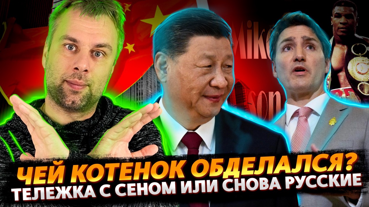 ЧЕЙ КОТЕНОК ОБДЕЛАЛАСЯ? | ТЕЛЕЖКА С СЕНОМ ИЛИ РУССКИЕ ВСЕГДА ВИНОВАТЫ
