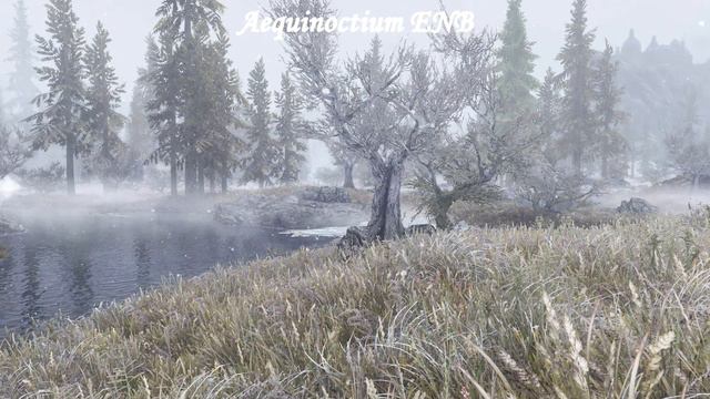 Skyrim SE - ENB Comparison смотреть онлайн