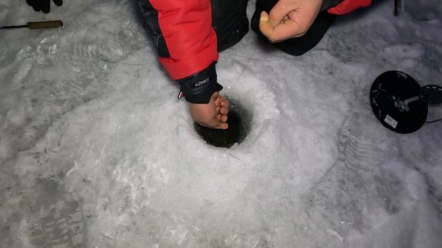 САМЫЙ КРУПНЫЙ НАЛИМ В МОЕЙ ЖИЗНИ смотреть онлайн
