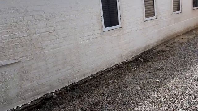 Дела домашние. Штукатурим, красим, приводим в порядок гараж. смотреть онлайн