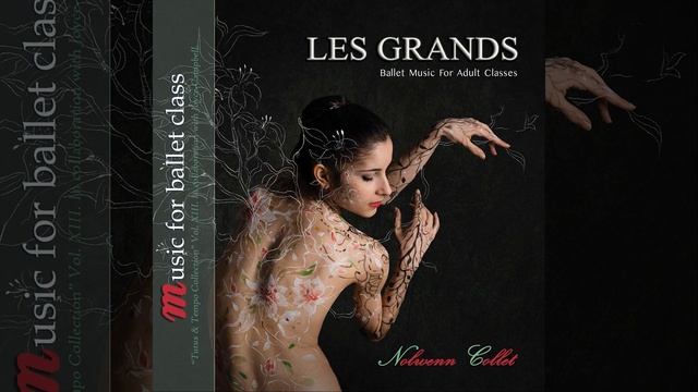 Preparation to Pirouettes and Pas De Valse - Variation for Natacha смотреть онлайн