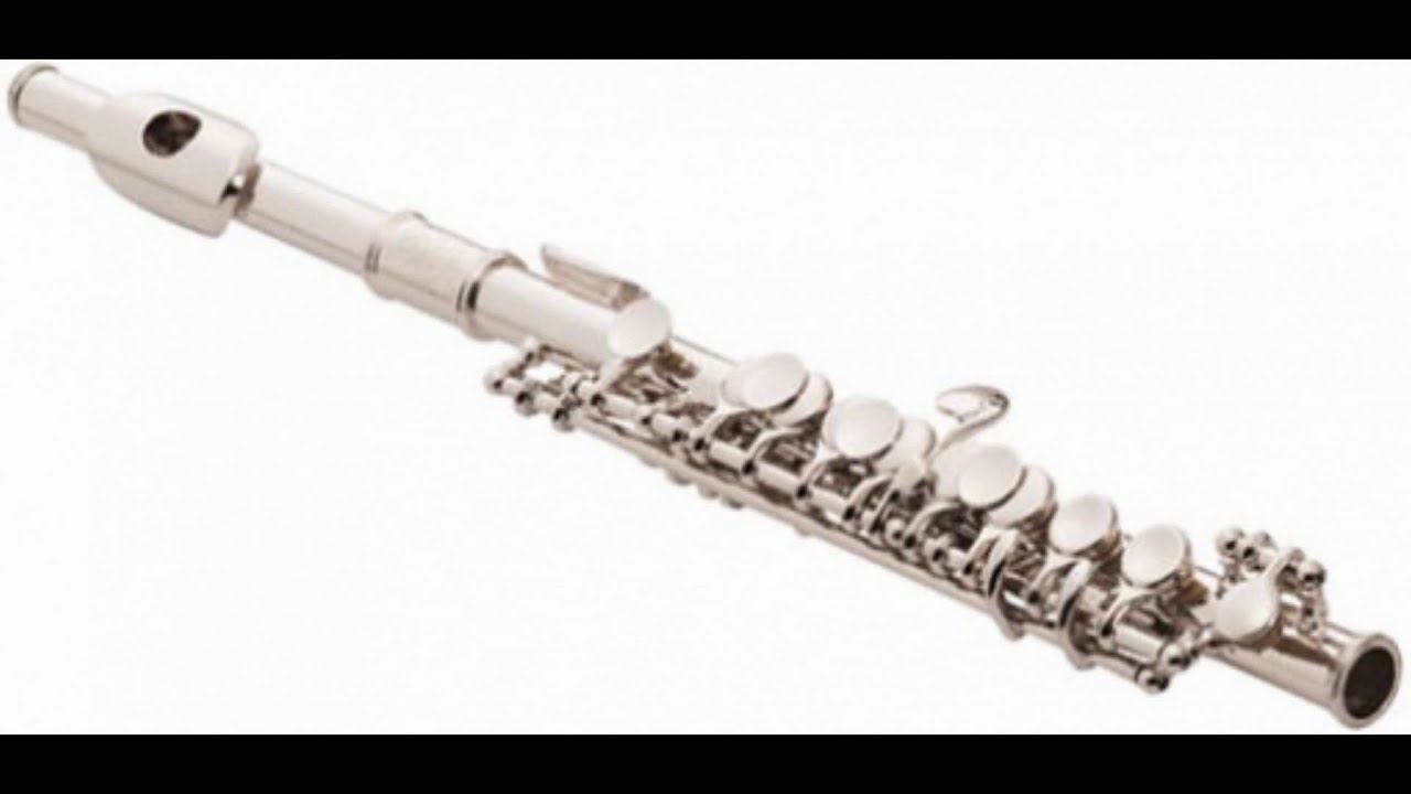 Григорий Зайцев - группа флейт (видовые инструменты) - лекция