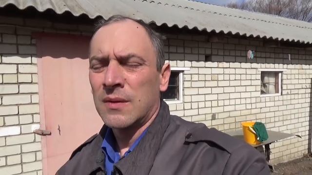 Выгодные перепела. смотреть онлайн