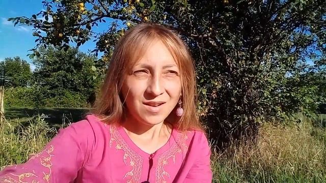 Аскезы и правила в жизни смотреть онлайн