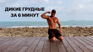 Дикие грудные за 6 минут в день. Тренировка грудных мышц ДОМА