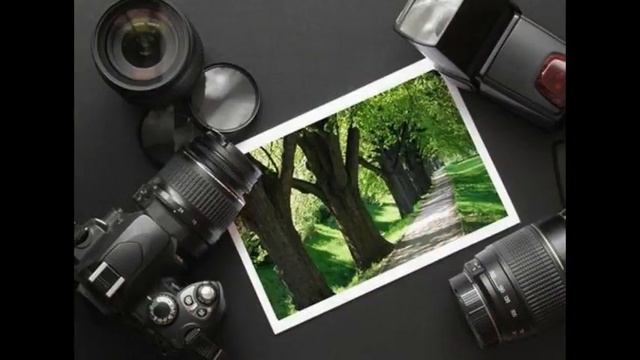 как научиться фотографировать за один вечер смотреть онлайн