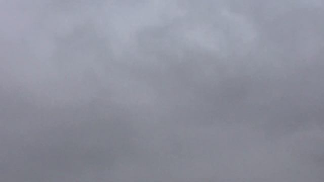 Мелкий дождик во дворе. 16.10.23. 10.02 смотреть онлайн