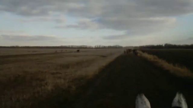 Чапаево смотреть онлайн