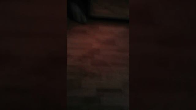 Блин ,дела,дела даже пришлось заказать суши и пицу,вот так!!; смотреть онлайн