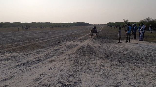 Cart cow racing смотреть онлайн
