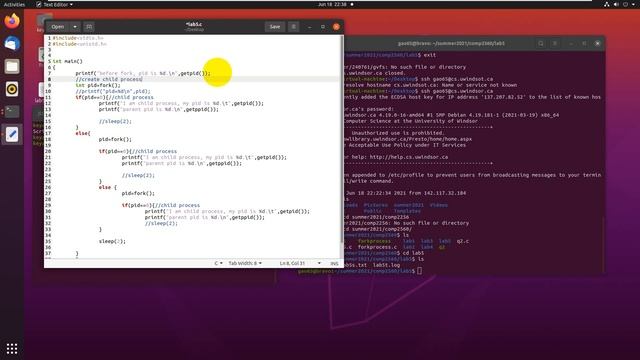 system programing lab5: create 3 child process from 1 parent process смотреть онлайн