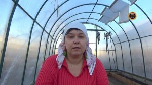 ЛИЛИИ в саду. Размножение, посадка, уход. Красивая грядка. Цветник без хлопот.