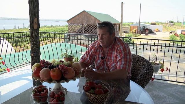 Клубника Применение бора и хелата железа для получения хорошего урожая клубники смотреть онлайн