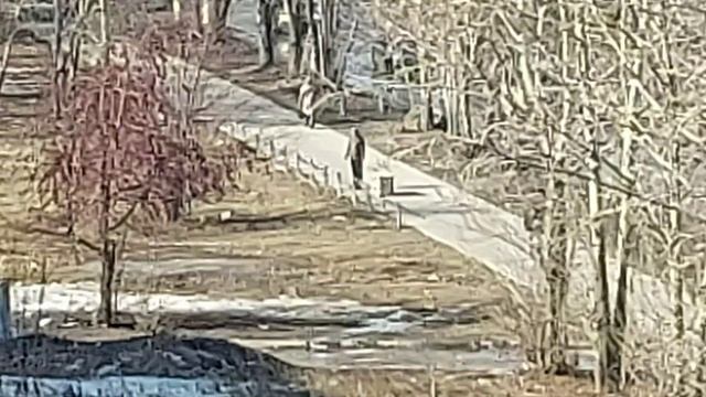 Просто Жизнь Телеграм 14.04.22.mp4