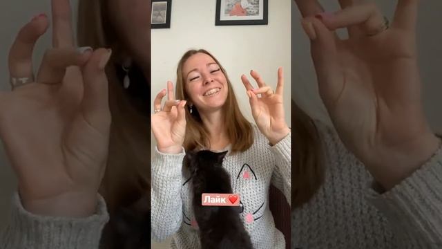 Пальчиковая гимнастика для детей от 4,5 лет. Нейрогимнастика смотреть онлайн