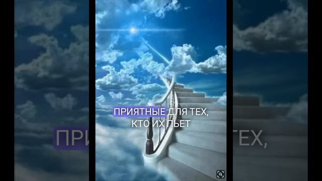 Рай (Джаннат) Да дарует нам Аллах рай.  Аминь #subhanallah #alhamdulillah #allahuakbar