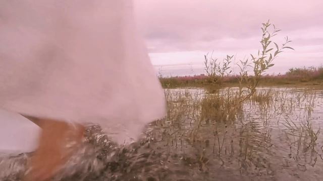 чистая выдумка | русалки | мифы | истории и легенды | смотреть онлайн