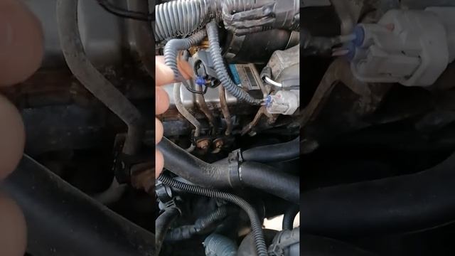 Прадо 120 дизель заводится и глохнет смотреть онлайн