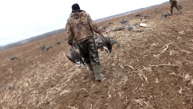 ГУСЬ 2022. ЛУЧШАЯ ОХОТА СЕЗОНА!!! КЛАССИКА-ГУСЬ С ЯБЛОКАМИ. смотреть онлайн