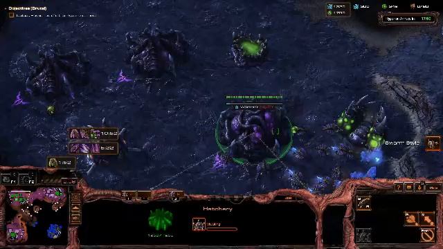 Игровые стримы: Starcraft 2