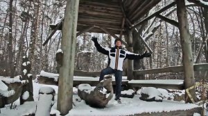 Идут белые снеги в исполнении Михаила Задорнова