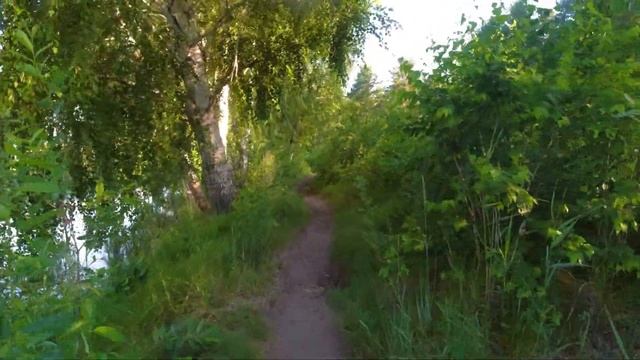 Велопрогулка (фрагмент). Челябинский городской бор. Монахи - р. Миасс - ст. Лесная. смотреть онлайн