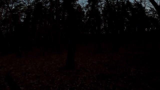 Охота на глухаря Как не надо делать смотреть онлайн