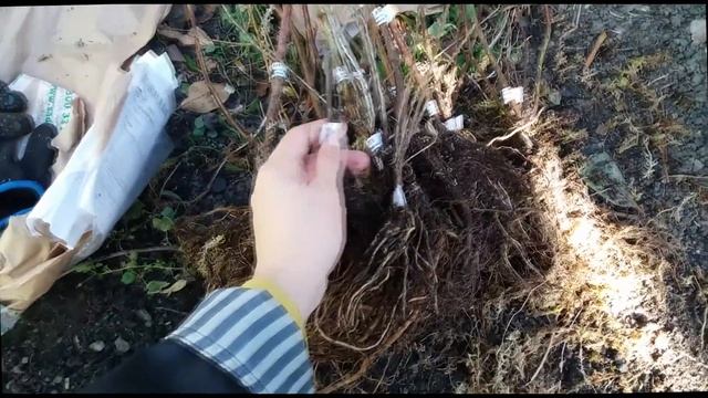 ПОСЛЕДНИЕ СЕЗОННЫЕ РАБОТЫ смотреть онлайн